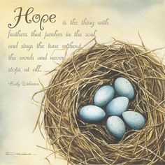 Spring brings renewed Hope quote by Emily Dickinson More