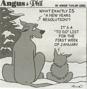 New Year Resolutions 2012