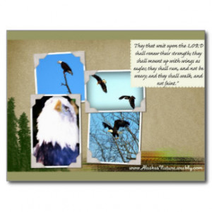 Word Of Encouragement Quotes Postcards
