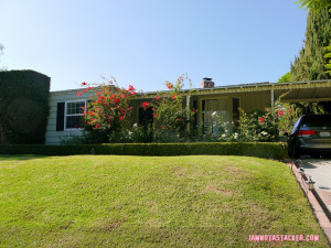 Funny Quotes Contact Dmca