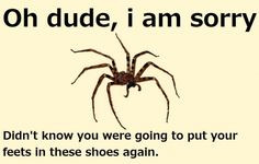Fear of Spiders Quotes | Spider Meme - Sharenator.com More