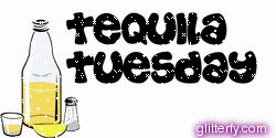 tequila_tuesday.gif (250×125)