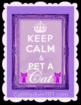 keep-calm-pet-cat-art-quote
