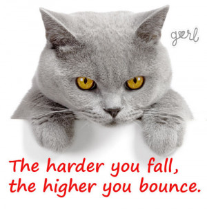 10 Angry Cats Meet Inspirational Quotes