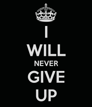 Will Never Give Up On You