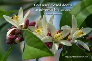 God uses closed doors to advance His cause. ~ Author Unknown