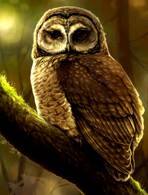 Athena: Goddess of Wisdom, of War and Victory | The Wisdom of Athena