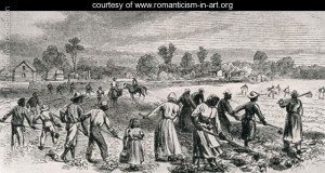 related quotes for cottonfields here are list of cottonfields please ...