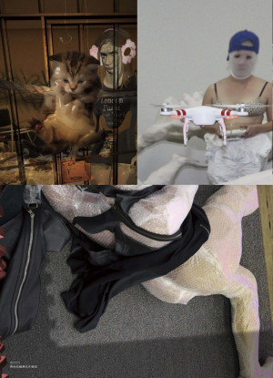 Ryan Trecartin Pictures