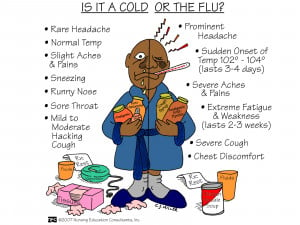 Is+It+A+Cold+Or+The+Flu.jpg