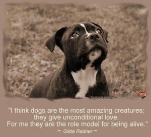 Dogs Are The Most Amazing Creatures; They Give Unconditional Love ...