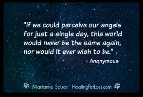 Healing Pet Loss - Marianne Soucy - angel quote Kia 550