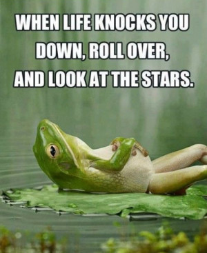 When Life Knocks You Down, Roll Over, And Look At The Stars. Pictures ...