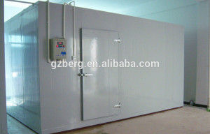 ... deep freezer,cold storage room with insulation material for cold