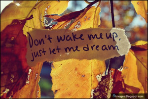 don t wake me up just let me dream