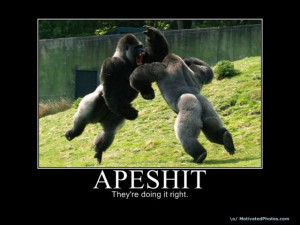 Rating: 9.3/ 10 (4 votes cast)