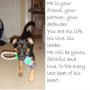 German Shepherd Hilarious | ... is your favorite dog sayings or quotes ...