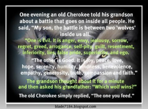 Old Cherokee Indian Saying. This is something to think about.