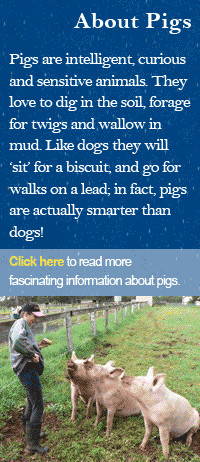 Click here to make the Pro Pig Pledge today