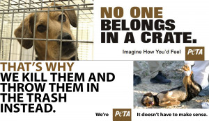 Which is more humane, crate training or killing and dumping? Which is ...