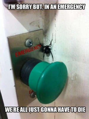 Haha this! Spiders are just nasty 