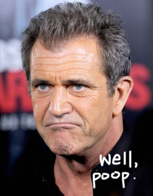 Sucks to be mel gibson rant quotes kittens !