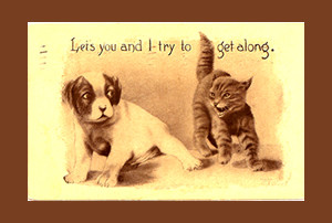 Cat Quotes regarding Cats and Dogs