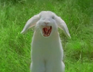 angry bunny bunny angry tweets 18 following 6 followers 5 favorites 3 ...