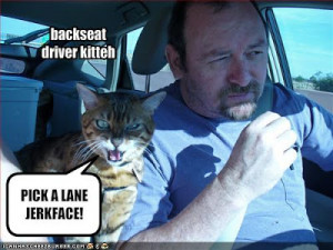 Funny Cat Pictures With Quotes