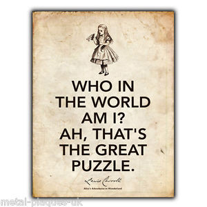 ... -SIGN-WALL-PLAQUE-Alices-Adventures-in-Wonderland-Lewis-Carroll-Quote