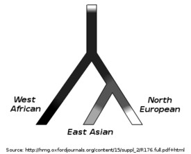Human Skin Color Genetics http://en.wikipedia.org/wiki/Human_skin ...