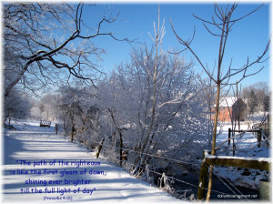 To view this photo in a larger size with a Scripture verse click here ...