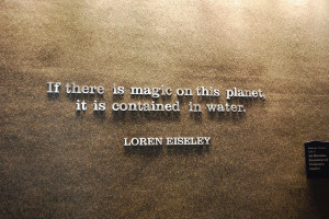 Quote for above fish tank