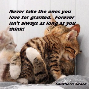 Take NOTHING For Granted~