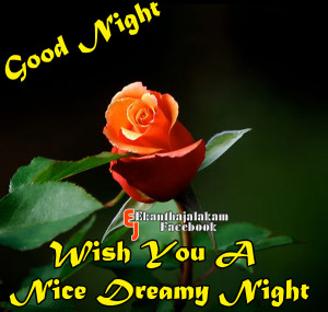 Wishing You a Nice Night and Sweet Dreams