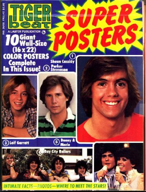 Tiger Beat Super Posters 1977 (Shaun Cassidy cover)