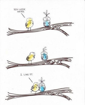 by giulia in cute funny drawings and animations tags birds cuddle cute ...