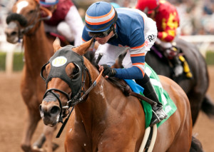 SPRING FEVER STAKES QUOTES
