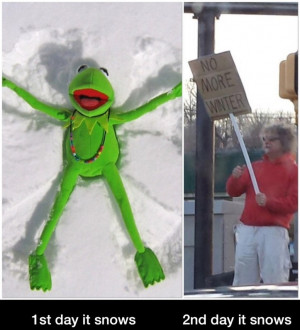 funny-winter-kermit-no-snow