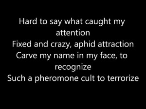 Slipknot Snuff Song...