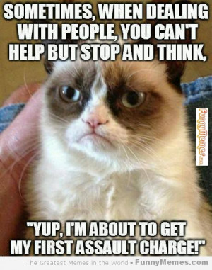 Cat memes – [Dealing with people]