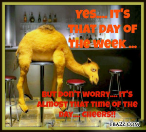 humpday quotes humpday pictures hump day pictures for fb humpday