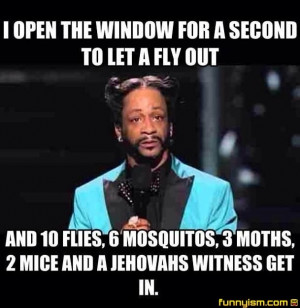 open the window for a second to let a fly out, and 10 flies, 6 ...