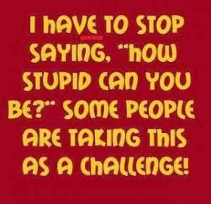 The Stupid Challenge!