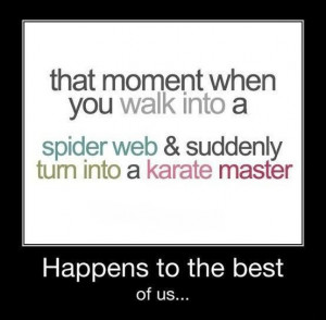 That Moment When you Walk Into A Spider Web & Suddenly Turn Into A ...