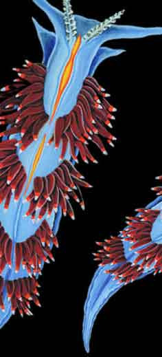 Leigh Anne Carter, 2012.