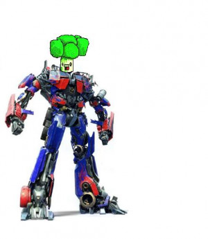 forums.ddo.com : the comedic gift that keeps on giving!