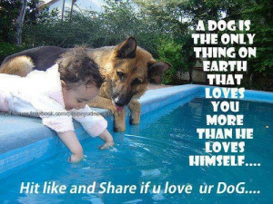 Unconditional Love - Animals Really Get The TRUE Meaning Of It