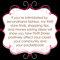 REVIEW: Salvation Army Thrift Store on 1960