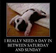 need a day funny quotes cute weekend funny quote funny quotes days of ...